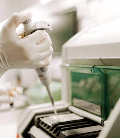 Die gesetzlichen Check-ups