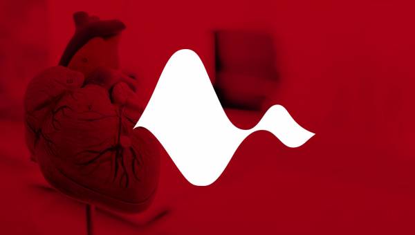 Ein Herzmodell wird überlagert von einer grafischen Herzfunktionskurve des EKG